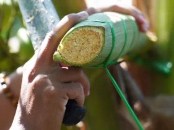 coconut nectar substitute