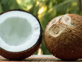 coconut sugar