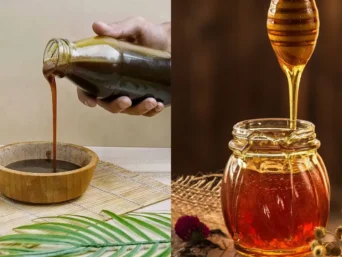 Coconut Nectar vs Honey 7 Key Differences