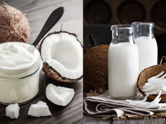 Coconut Cream vs Coconut Milk