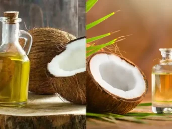 RBD vs Virgin Coconut Oil
