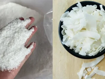 Desiccated Coconut vs Coconut Flakes