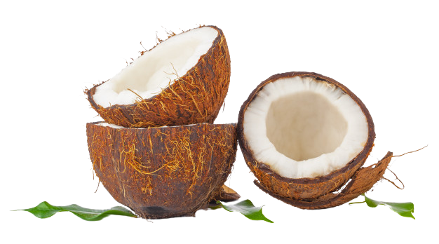 coconut nectar organic, organic coconut palm nectar, best coconut nectar, secret coconut nectar
