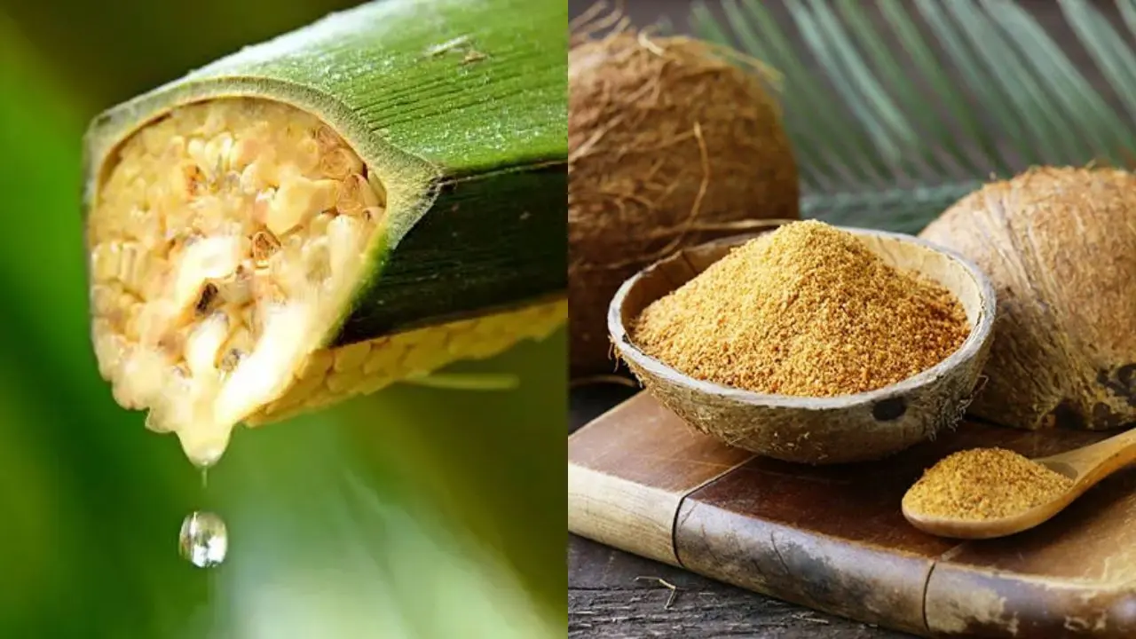 Coconut Nectar vs Coconut Sugar: Key Differences in Taste, Nutrition, Processing & Uses 7 Coconut Nectar vs Coconut Sugar: Key Differences in Taste, Nutrition, Processing & Uses