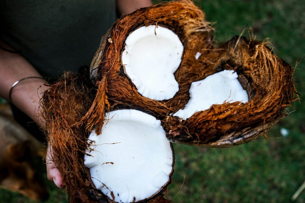 coconut blossom nectar, coconut flower nectar, coconut nectar whole foods, organic coconut palm nectar