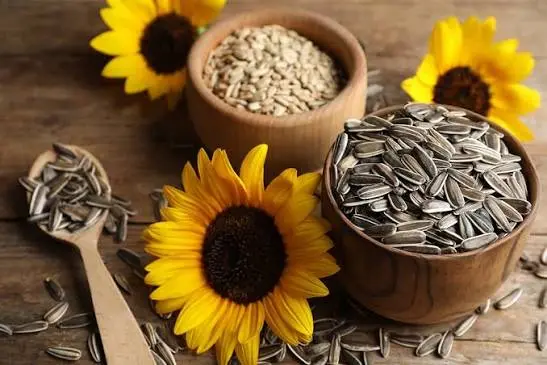 7 Best Desiccated Coconut Substitutes and How to Use Them 8 Sunflower Seeds