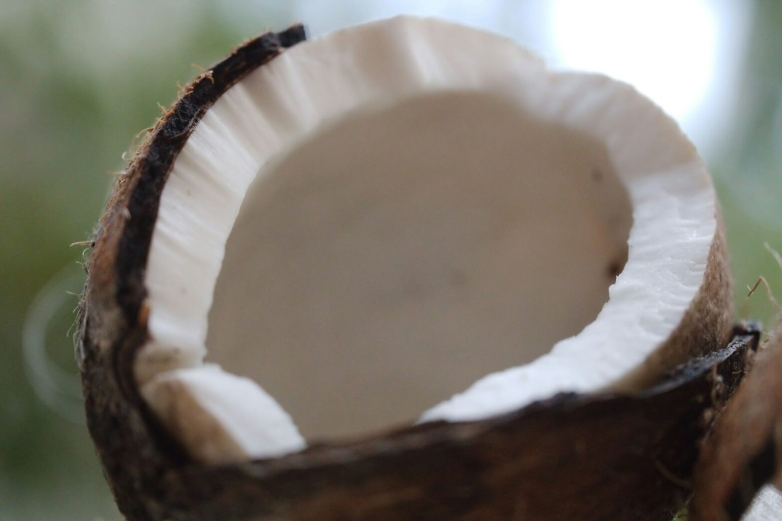 Can You Drink Coconut Milk Every Day? Pros and Cons 1 Can You Drink Coconut Milk Every Day? Pros and Cons