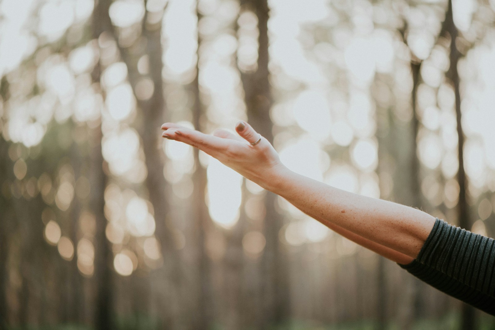 Coconut Sugar and the Paleo Diet: A Compatible Sweetener?