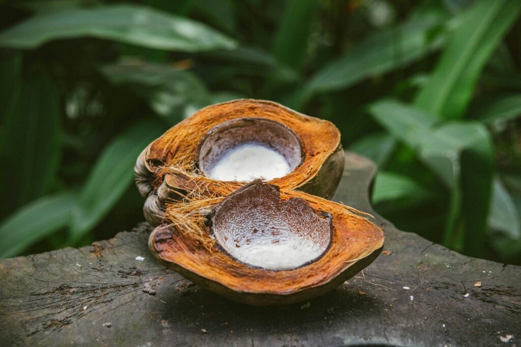 BRCGS Certified Coconut Sugar Supplier from Indonesia: What Every Buyer Needs to Know (2026) 57 BRCGS-Certified Indonesian