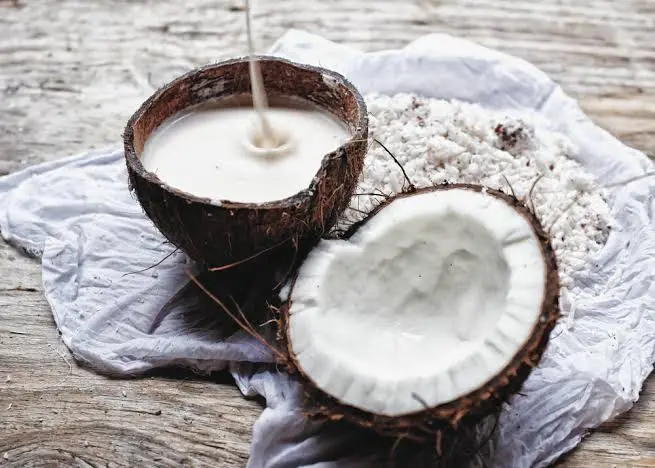 Homemade Coconut Milk Nutrition from Desiccated Coconut 2 Homemade Coconut Milk