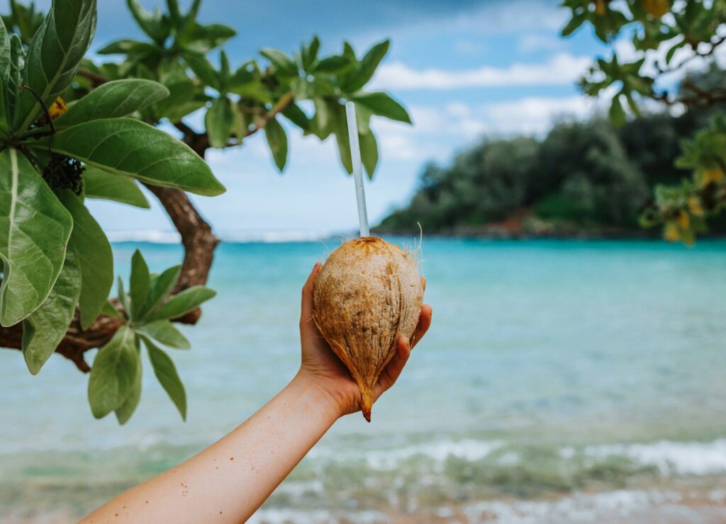 desiccated coconut, coconut, food, home