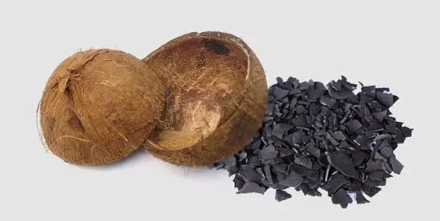 Coconut Shell Charcoal
