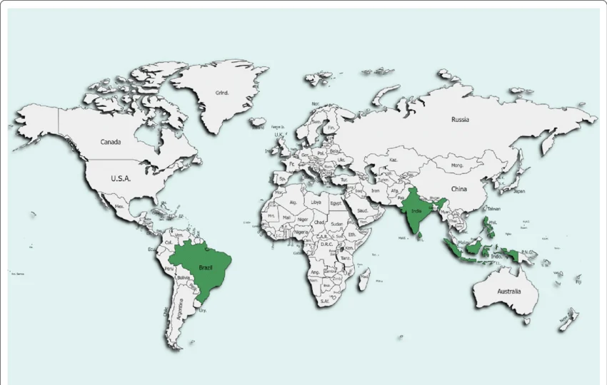 Best Countries to Source Coconut Sugar: Indonesia vs Philippines vs Sri Lanka — A Complete Buyer's Comparison (2026) 2 Best Countries to Source Coconut Sugar