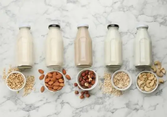 Plant-Based Milks and Dairy Alternatives