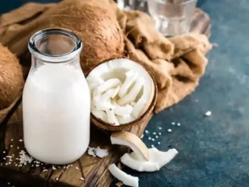 Canned vs Carton vs Fresh Coconut Milk: Key Differences