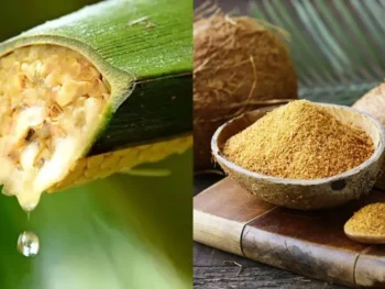 Coconut Nectar vs Coconut Sugar Key Differences in Taste, Nutrition, Processing & Uses Coconut Nectar vs Coconut Sugar