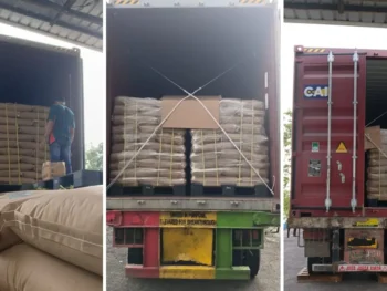 global coco sugar ships certified coconut products to the USA and Europe