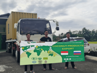 global coco sugar exporting coconut sugar to russia as healthy sugar substitute