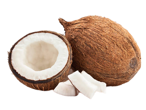coconut product supplier in indonesia