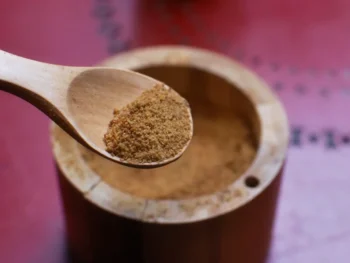 organic coconut sugar supplier indonesia