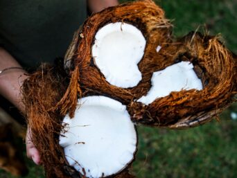 coconut blossom nectar, coconut flower nectar, coconut nectar whole foods, organic coconut palm nectar